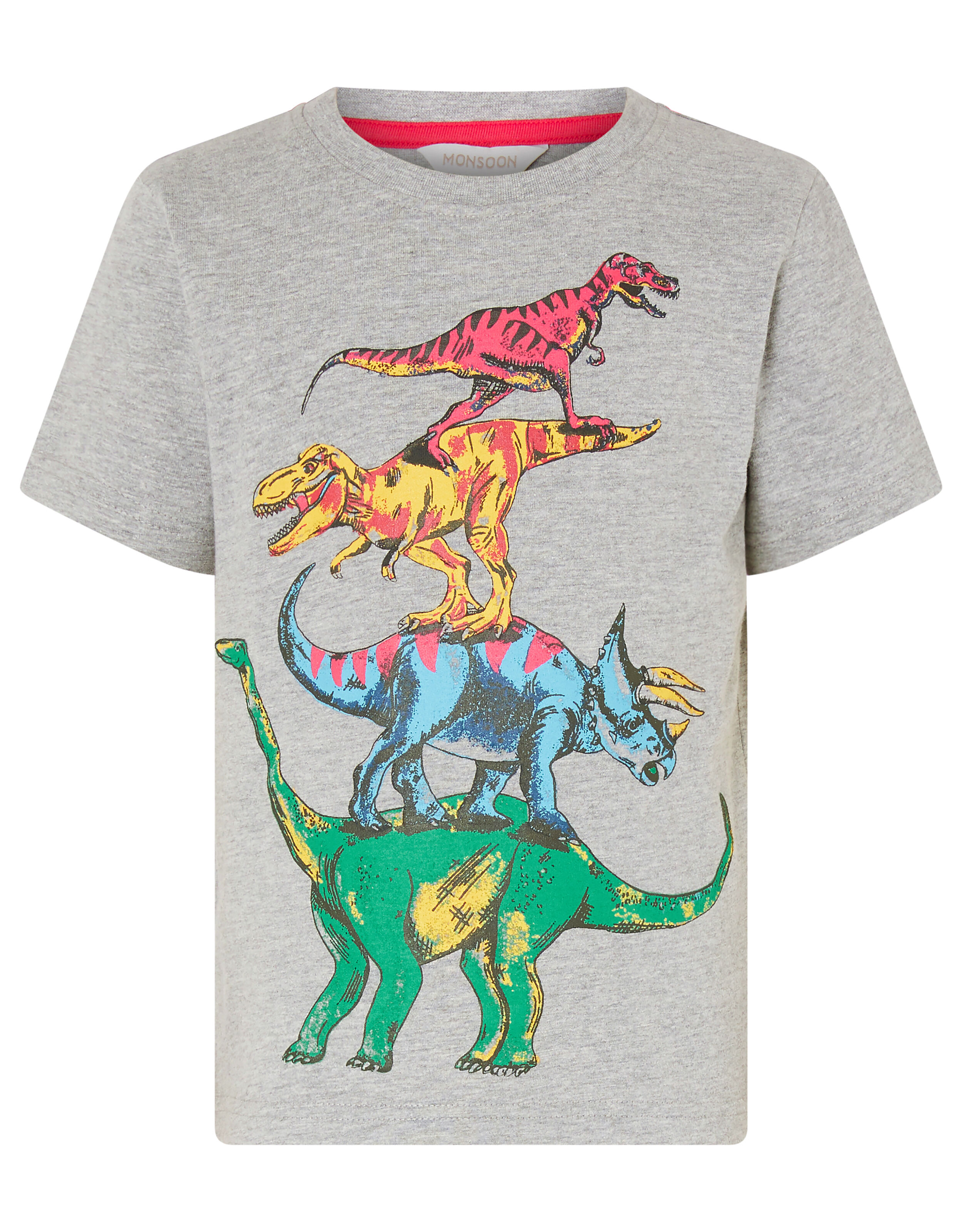 Rufus Dinosaur T-shirt Grey | Boys ...